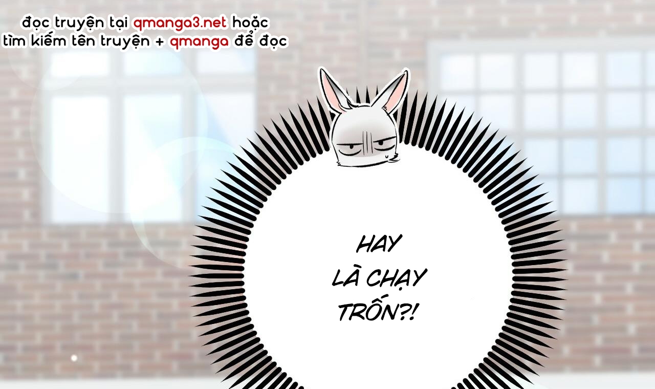 đàn thỏ của habibi chapter 53 45