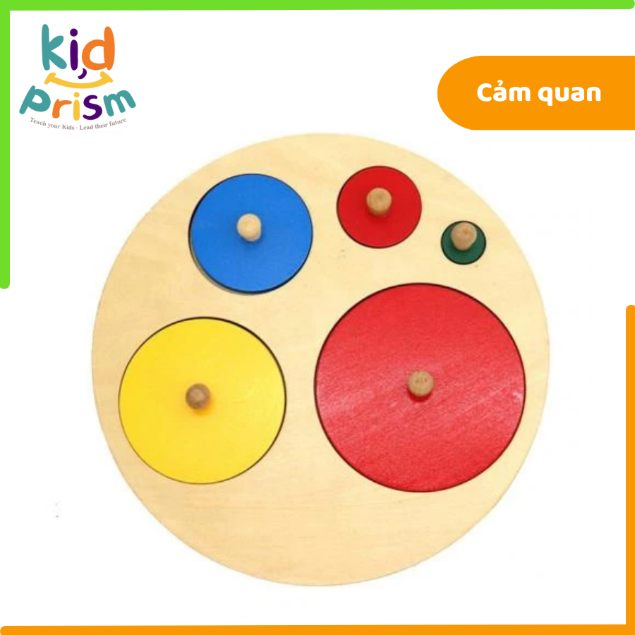 Bảng ghép Montessori hình tròn kích cỡ đa dạng bằng gỗ giúp bé phát triển trí não (Giáo cụ Montessori)