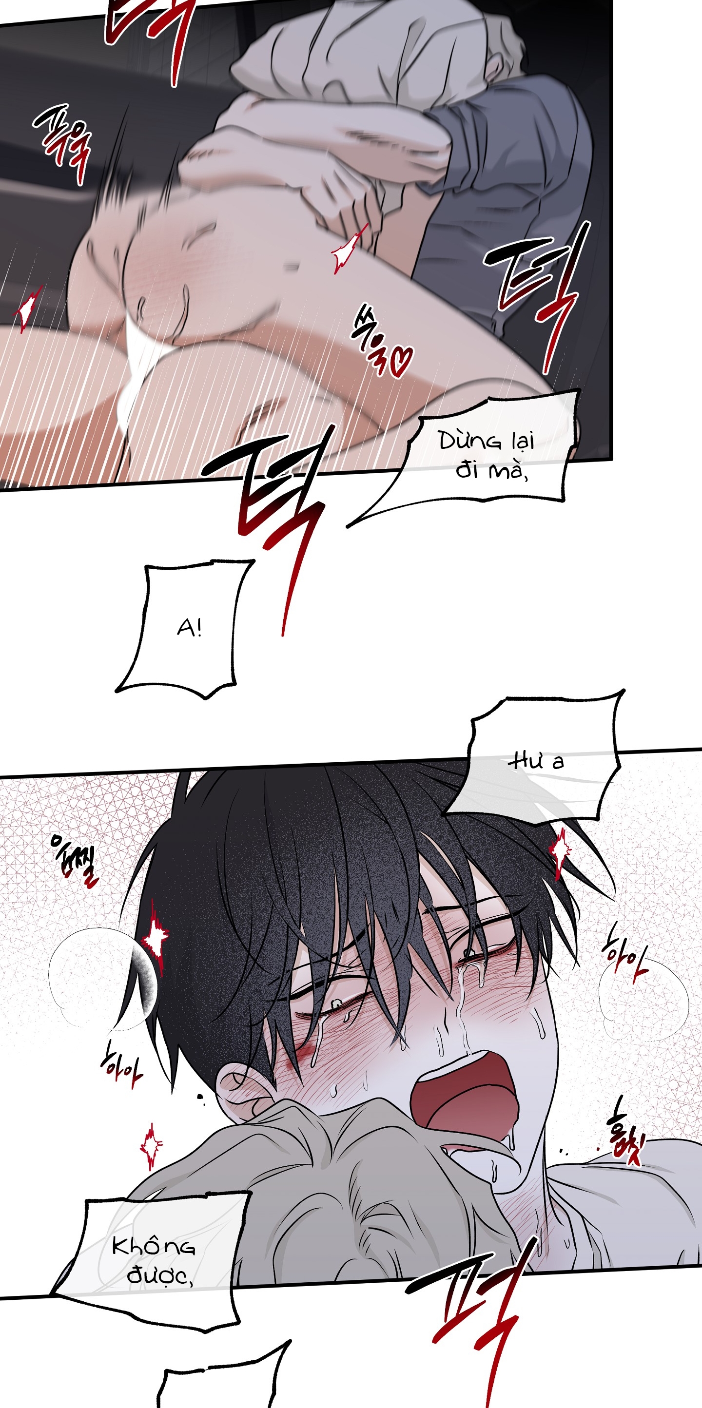 đêm bên bờ biển chapter 55.5 6