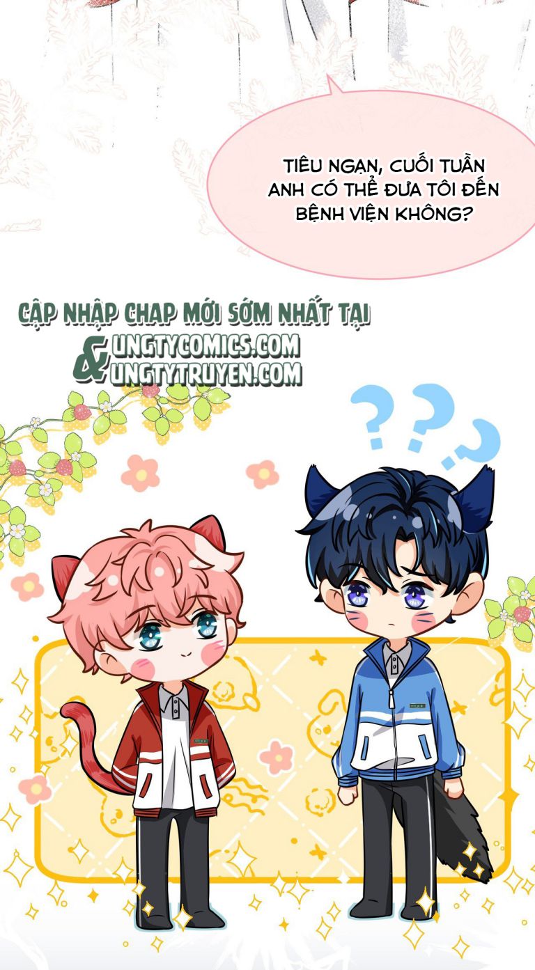 tín tức tố nói chúng ta không thể chapter 19 31