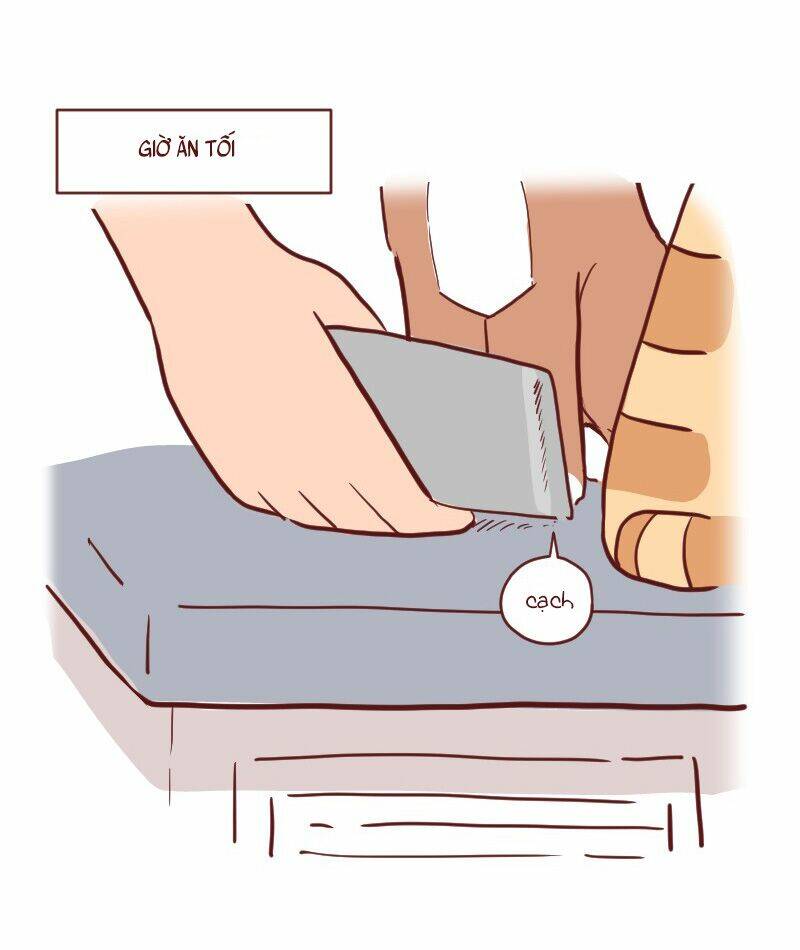 saphie: chú mèo một mắt chapter 23 4