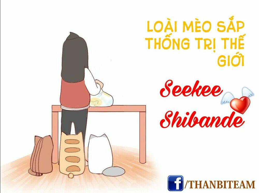 saphie: chú mèo một mắt chapter 6 17