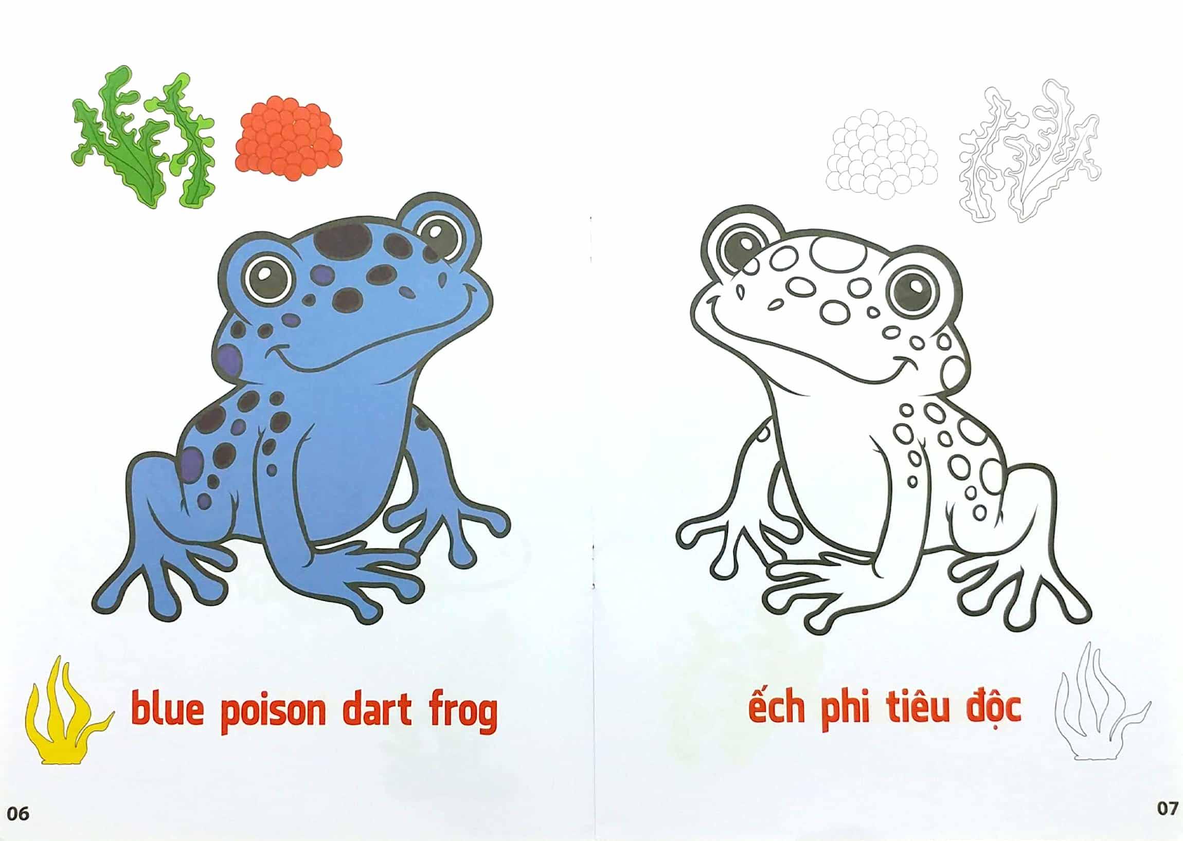 Tô Màu Động Vật Sống Dưới Nước - Song Ngữ Anh-Việt - Tập 3