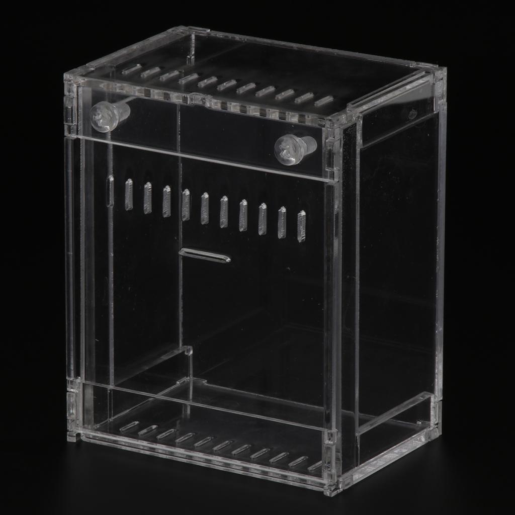 Acrylic Pet Reptiles Worm Breeding Box Clear Cases for Reptile