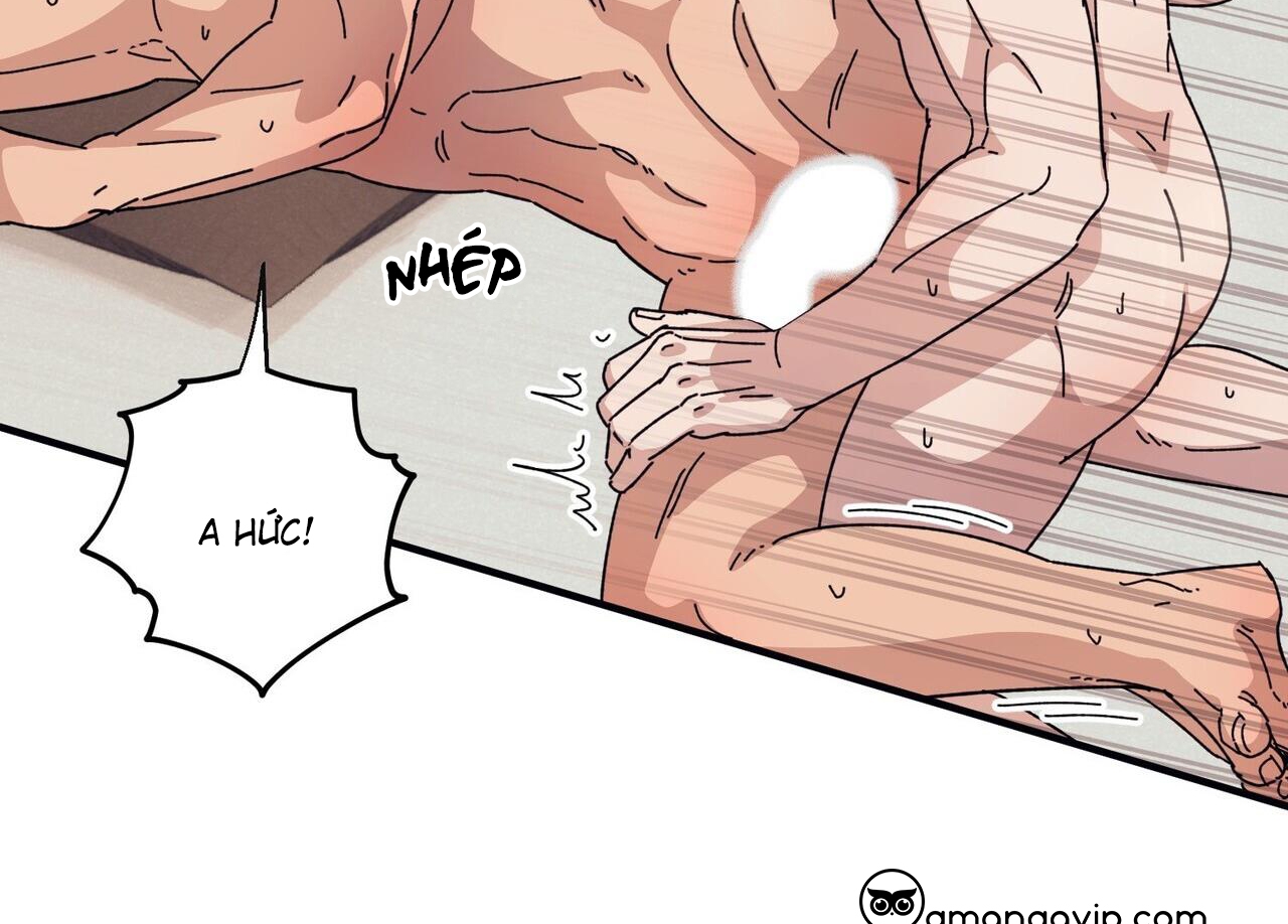 chàng dâu nhà họ kang chapter 44 144