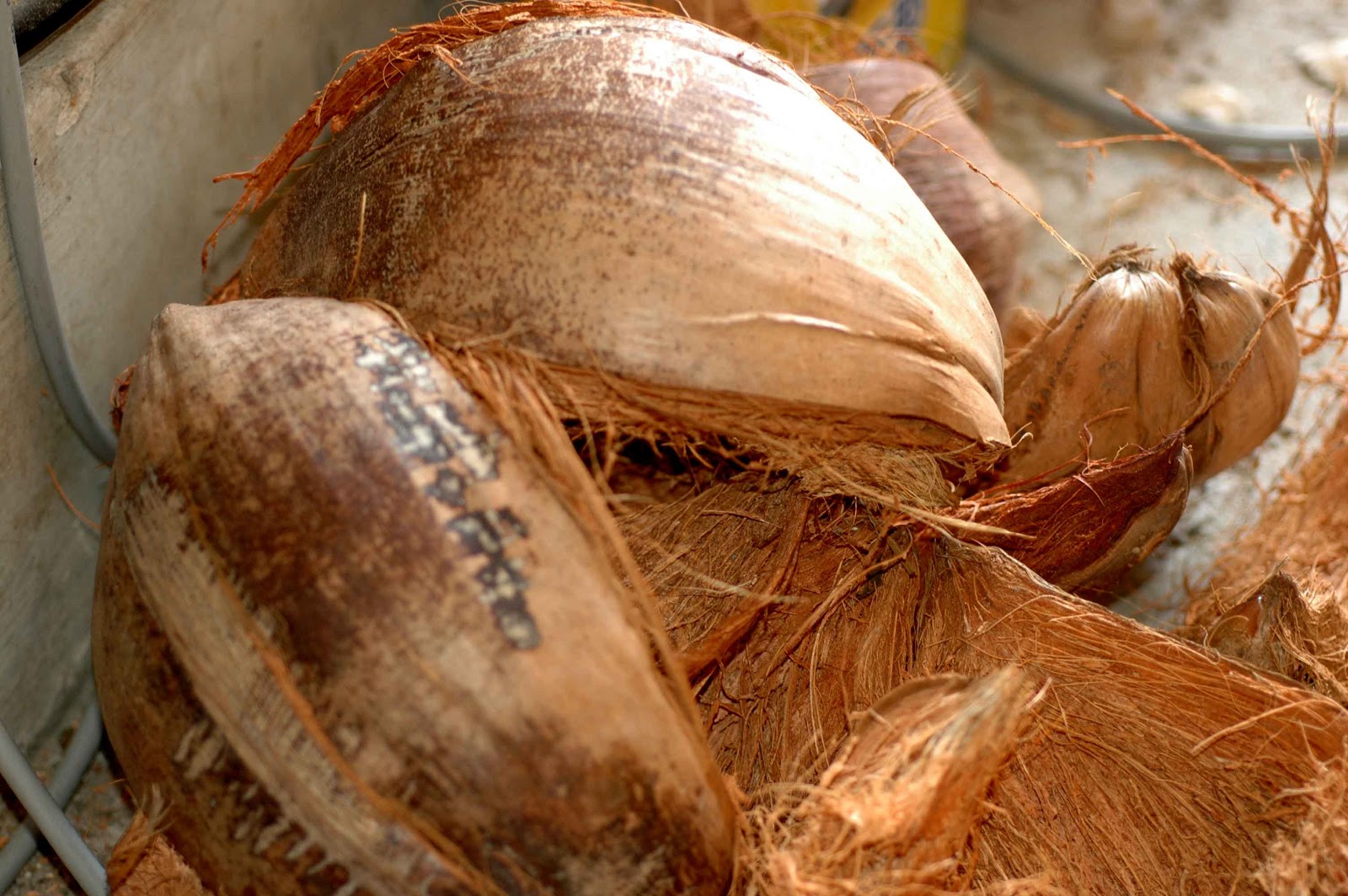 5 kilogam vỏ dừa trồng lan cắt miếng