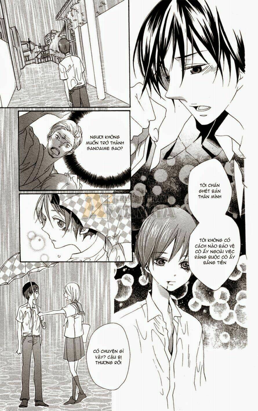 hoa hồng hoang dã chapter 1 30