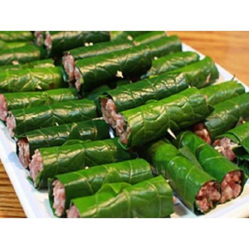 CÂY XƯƠNG SÔNG,CÂY XƯƠNG SÔNG - CHẬU CÂY GIỐNG - CGCSX
