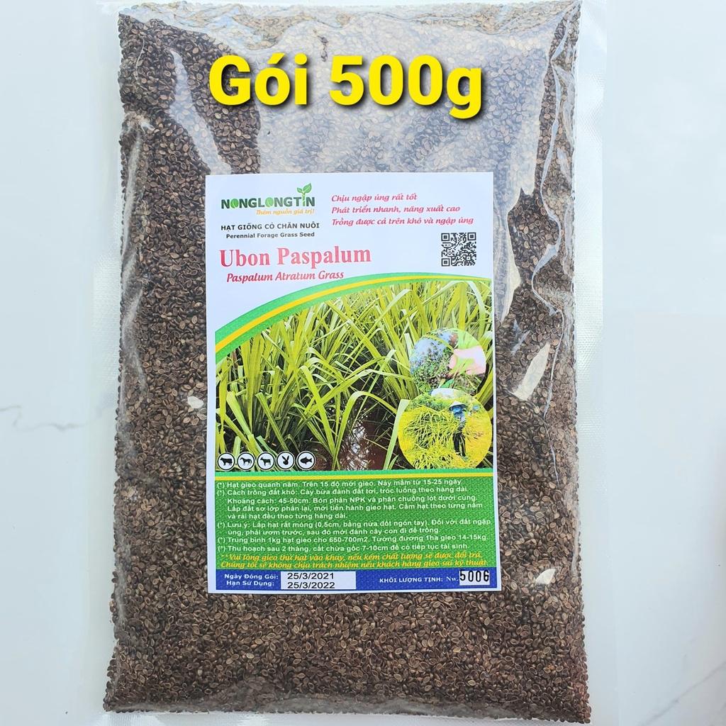 Hạt giống cỏ xả chịu ngập UBON Paspalum