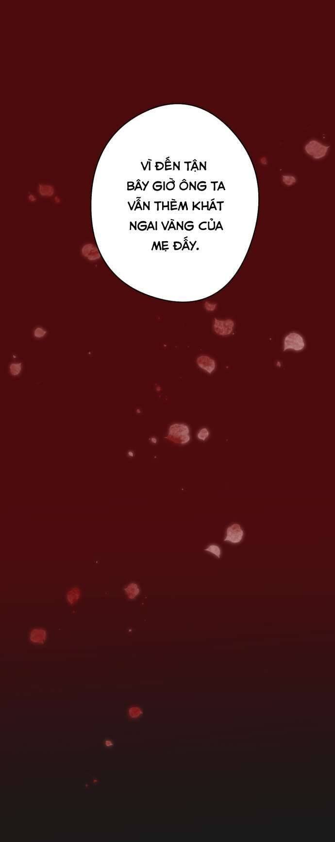 bạn học tôi là lính đánh thuê chapter 204 16