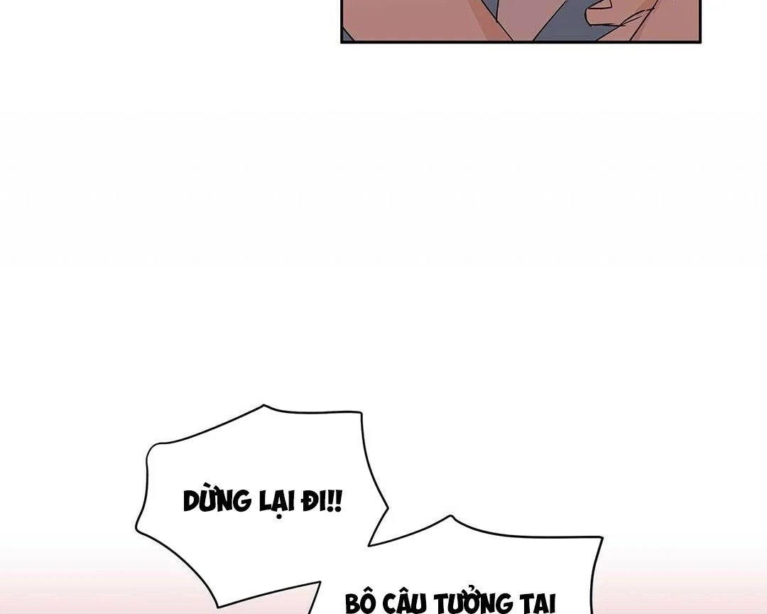 guide cấp b chapter 24 110