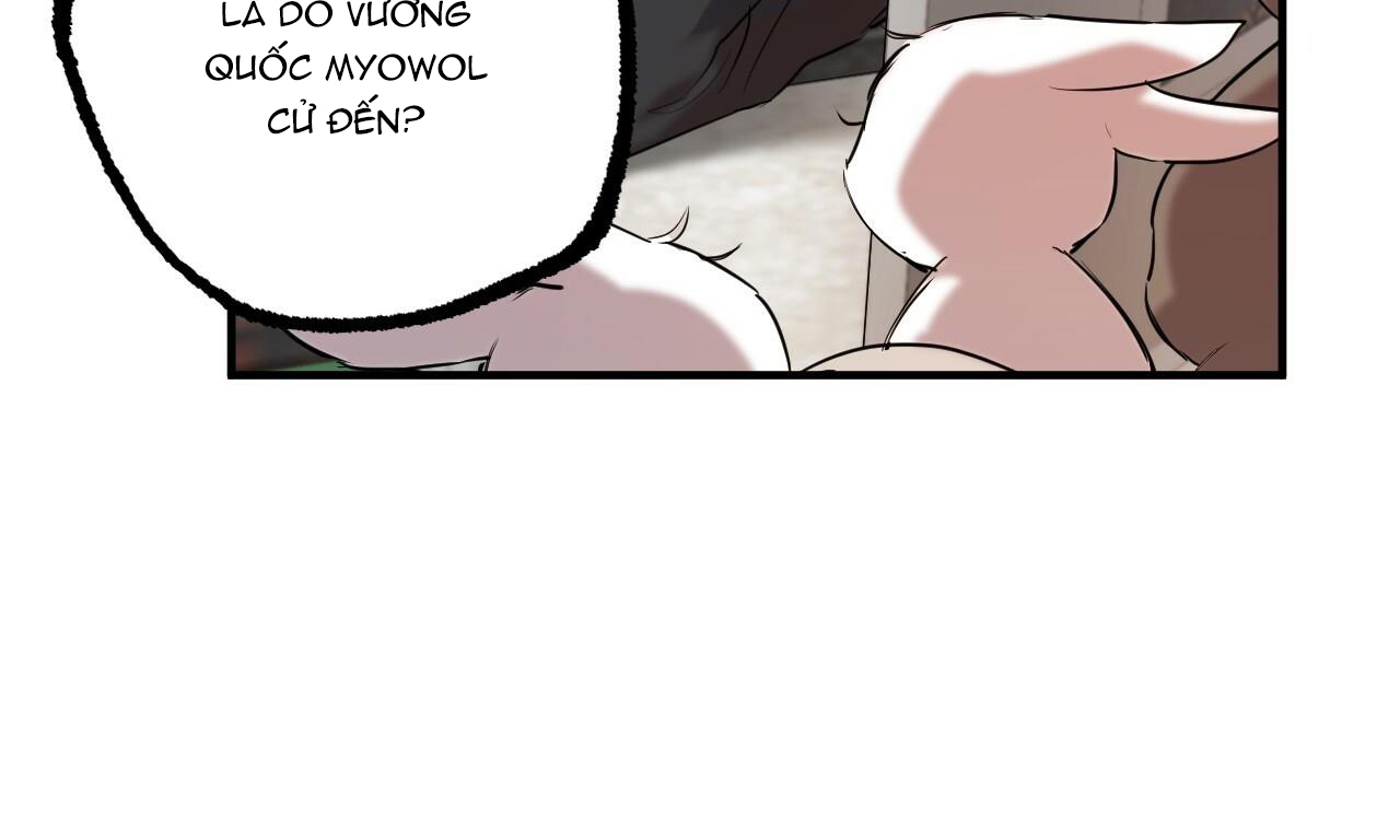 đàn thỏ của habibi chapter 39 98