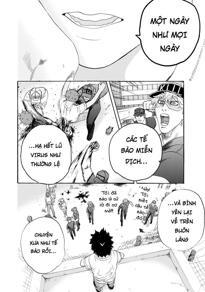 hataraku saibou! chapter 20 6