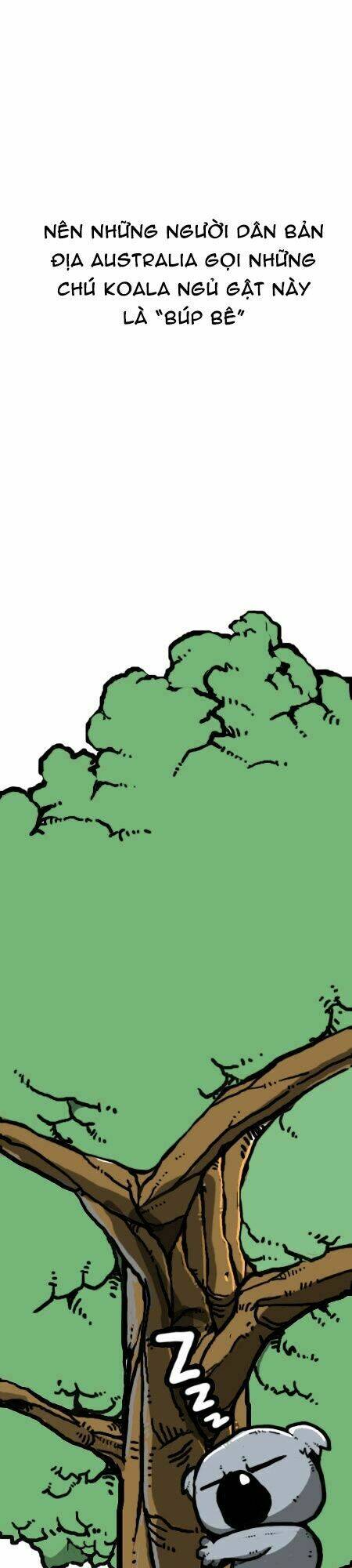 earth, human, and animal chapter 25 20