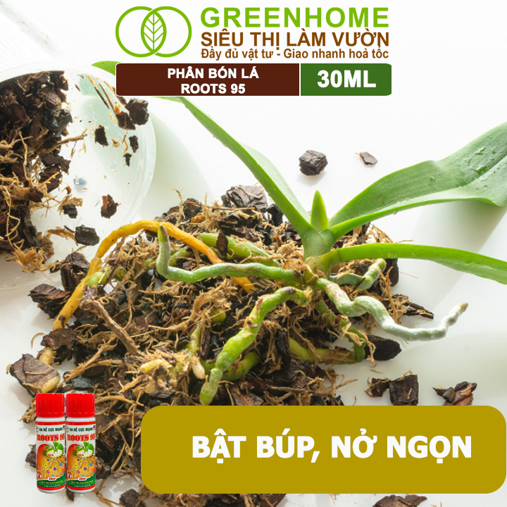 Phân Kích Rễ Cực Mạnh ROOTS 95, GreenHome, Chai 30ml, Kích Ra Rễ Cực Mạnh Chuyên, Cho Hoa Lan