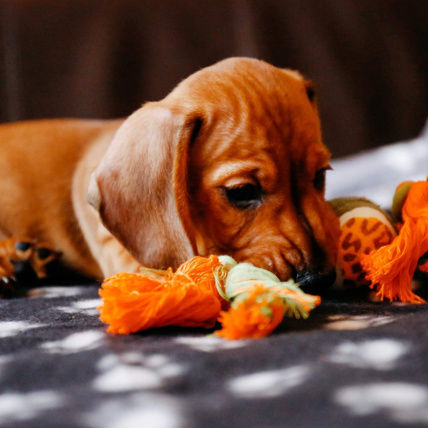 Vỏ bọc sang trọng lớn cho chó, mèo, thỏ và vật nuôi khác - một bổ sung tốt cho giường của động vật của bạn, nhiều màu, 3 đơn vị, 70 x 100 cm