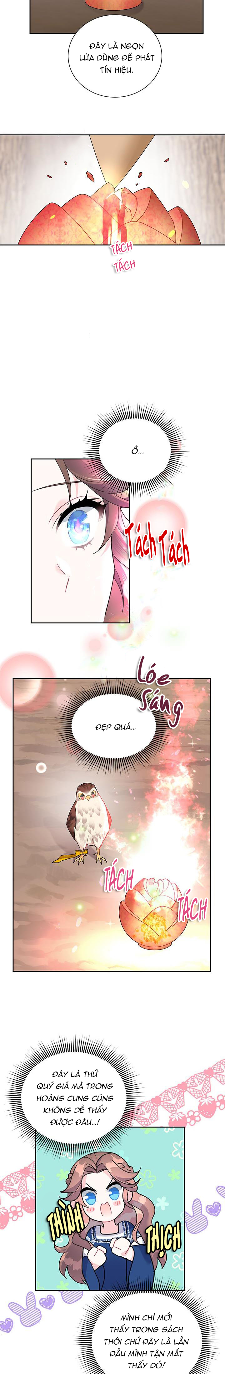 công chúa của loài chim chapter 31 8