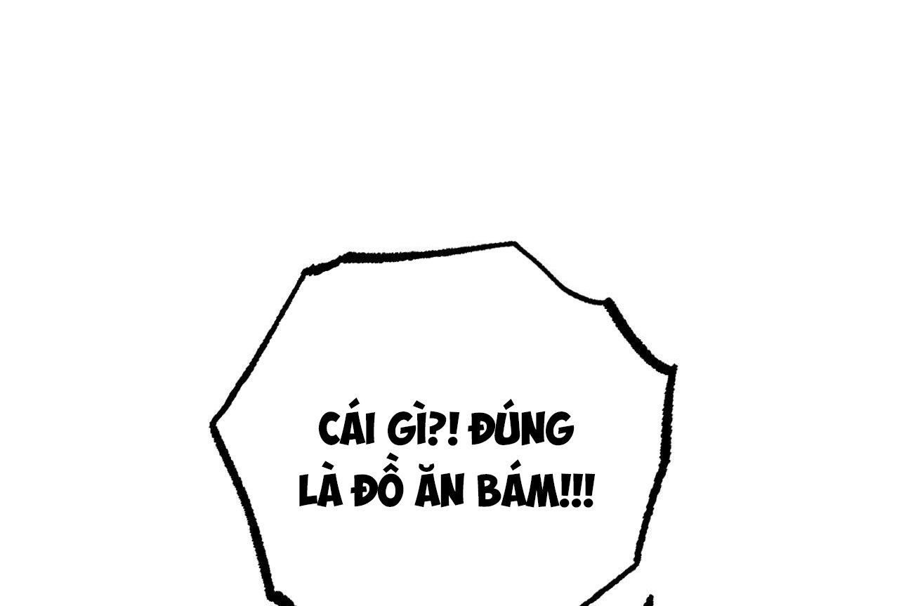 những chú thỏ của hapypy chapter 58 142