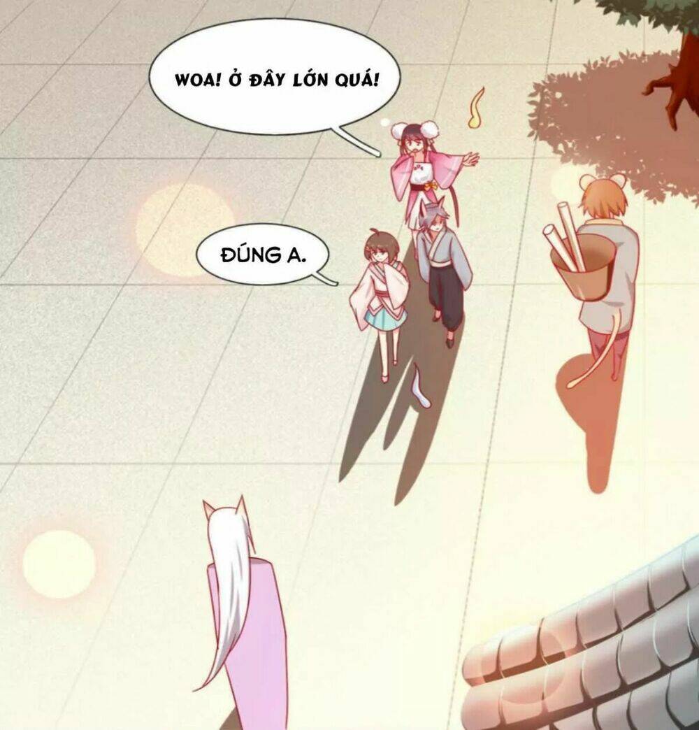 phi thiên địch tự dưỡng đích khẩu tử chapter 23 3