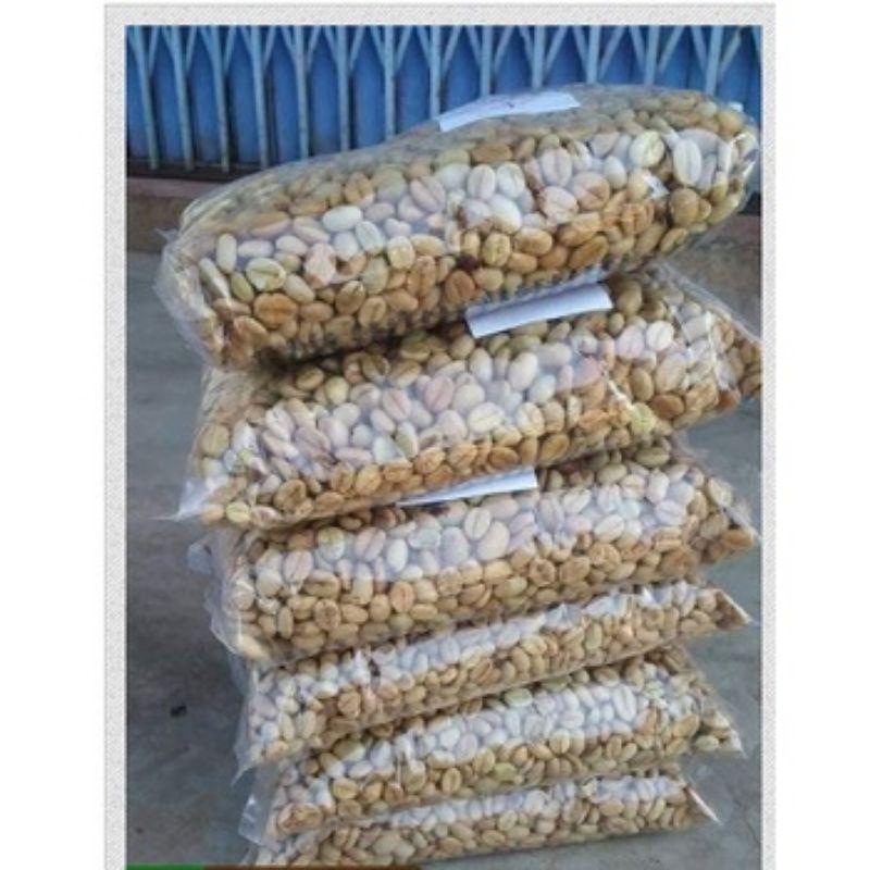 1KG HẠT GIỐNG CÀ PHÊ