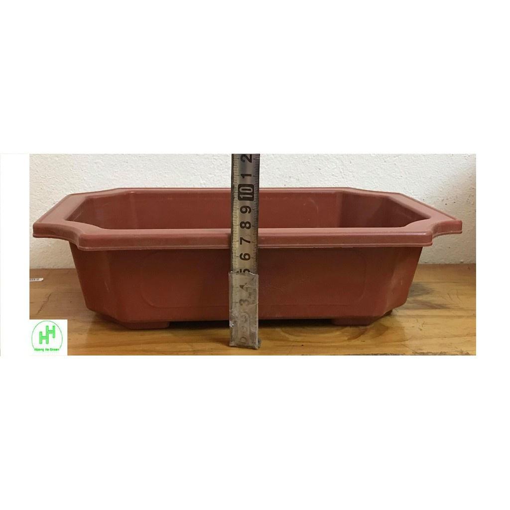 Combo 5 Chậu Nhựa Trồng Cây Mini Hình Chữ Nhật Màu Nâu Siêu Đẹp Kích Thước 28x20x8 Cm