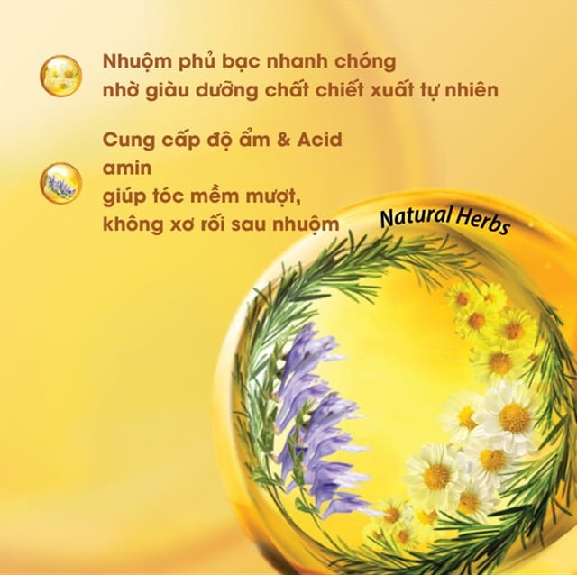 Nâu Cà Phê(Nâu Sáng L5) - Kem Nhuộm Dưỡng Tóc Phủ Bạc Lavox Youth&amp;Color L5 - Màu Nâu Cà Phê (Mẫu Cũ Nâu Sáng)