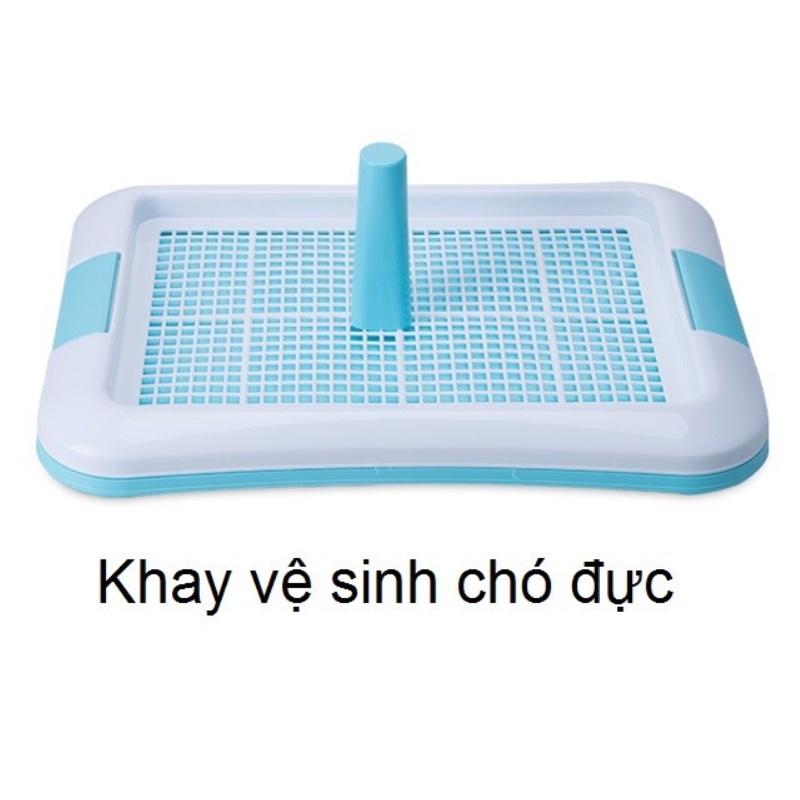 Khay vệ sinh cho chó nhỏ vân Rồng