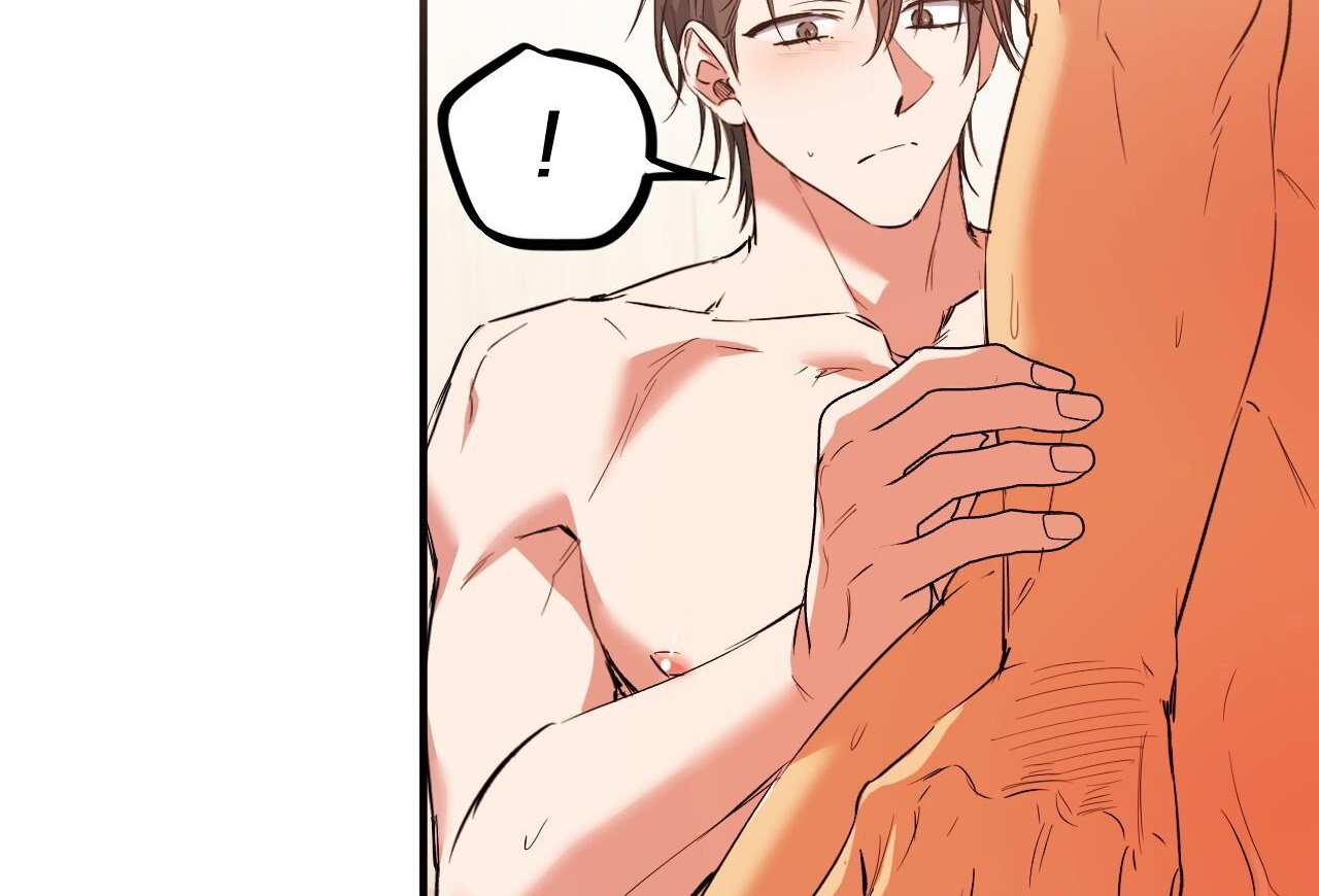 đàn thỏ của habibi chapter 63 193