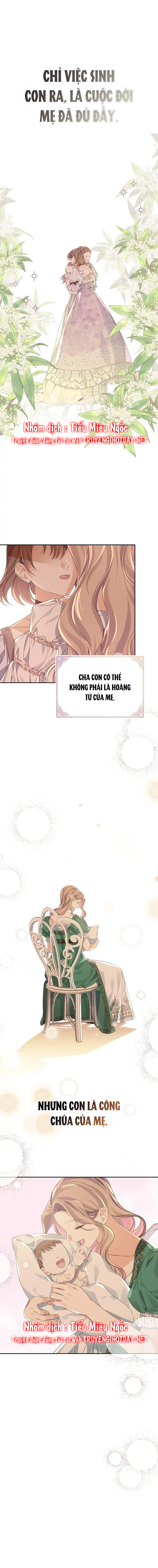 aster yêu dấu của tôi chapter 27 12