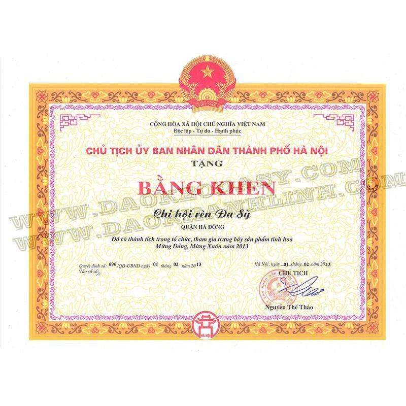 Bộ dao nhà bếp 10 món Tiến Lộc cao cấp DT002
