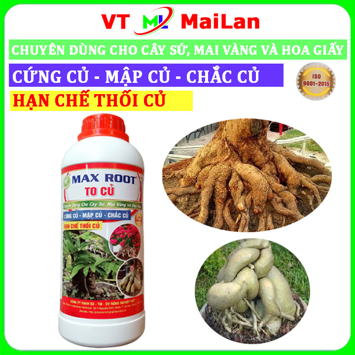 To củ Max root, chuyên dùng cho cây sứ, mai vàng và hoa giấy (chai 1 lít)