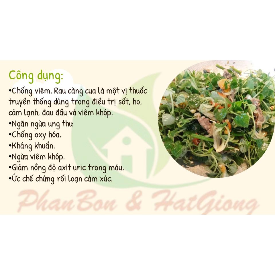 Hạt Giống Rau Càng Cua Dễ Trồng - Phú Nông Seeds - Shop Phân Bón và Hạt Giống