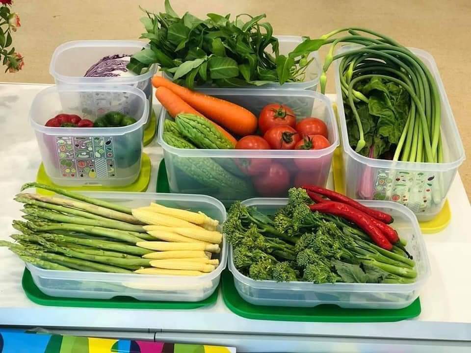 Bộ hộp trữ mát có nút hô hấp Ventsmart 7 Tupperware trữ mát thông minh làm từ nhựa nguyên sinh an toàn - Hàng chính hãng