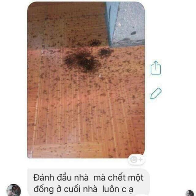 THUỐC DIỆT KIẾN GIÁN SINH HỌC HÀNG VIỆT NAM CHẤT LƯỢNG CAO