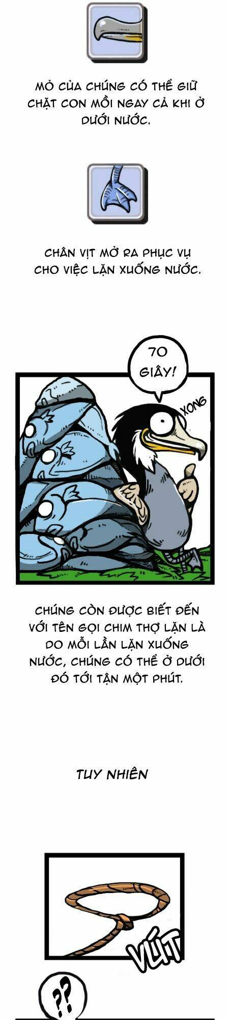 earth, human, and animal chapter 20 23