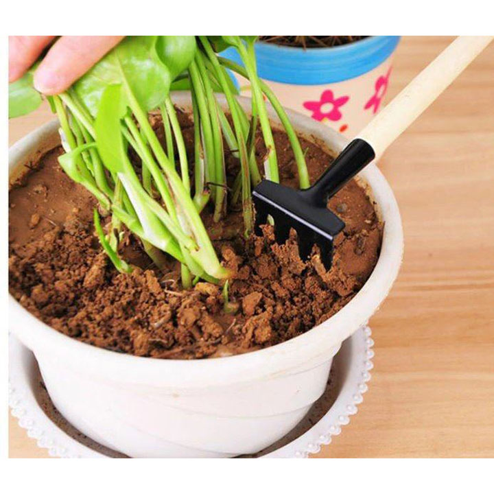 Bộ làm vườn mini