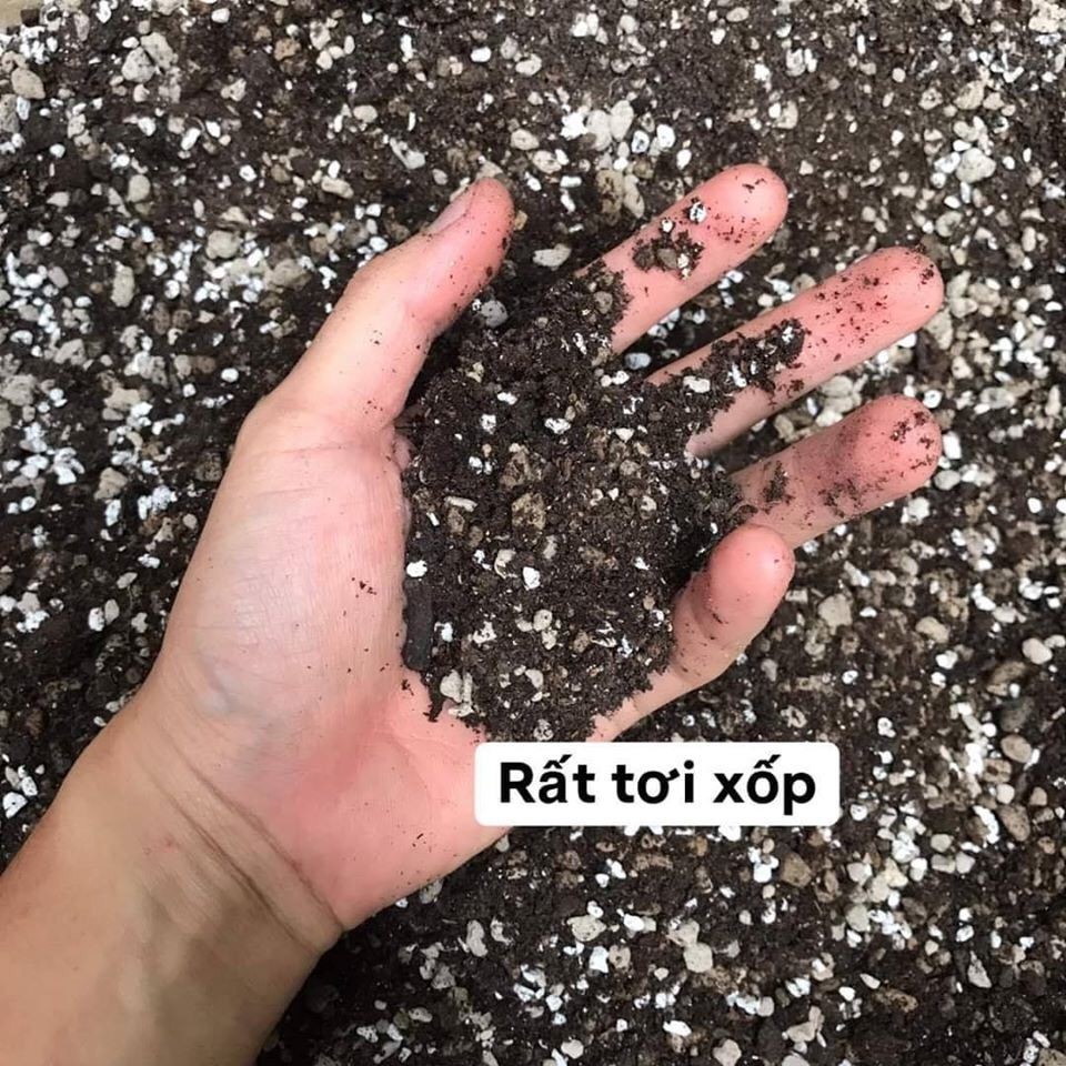 Soil Mix Đất Trồng Sen Đá Xương Rồng - 6kg