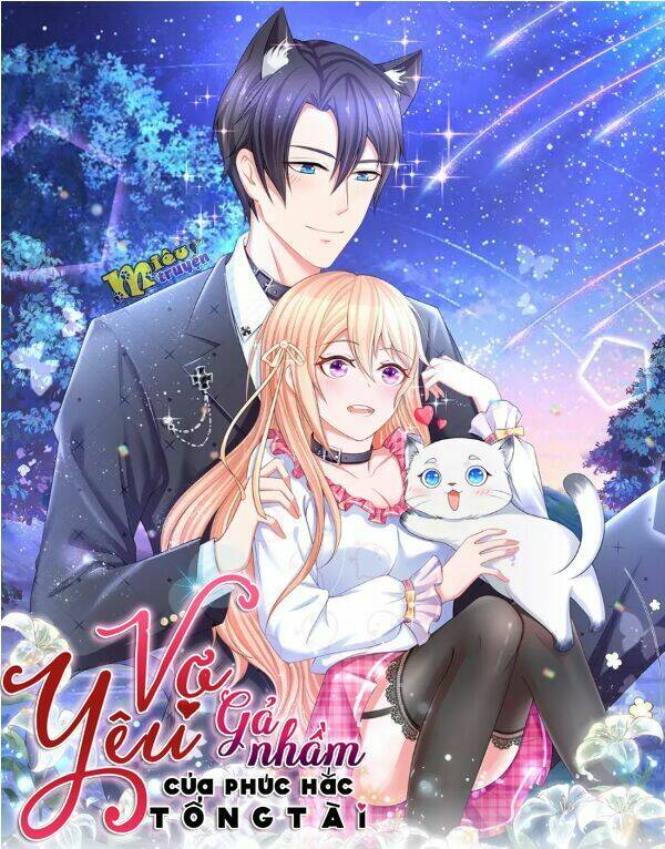 vợ yêu gả nhầm của phúc hắc tổng tài chapter 1 1