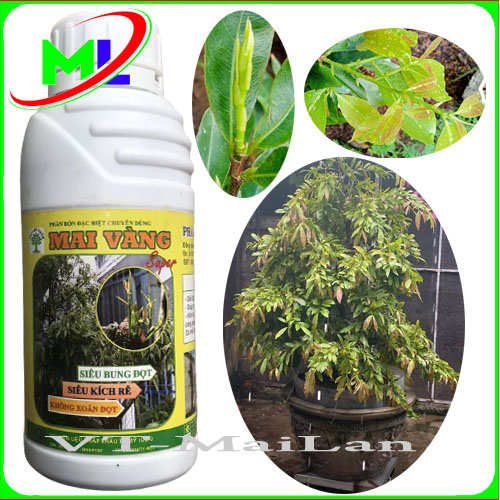 Siêu kích rễ cực mạnh mai vàng HaLo chai 500ml
