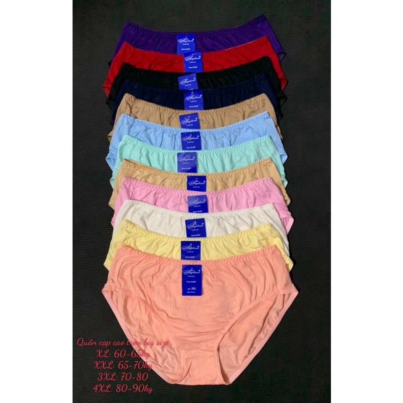 Set 05 quần lót nữ BIG SIZE Thun cotton Cạp cao Hàng Việt Nam