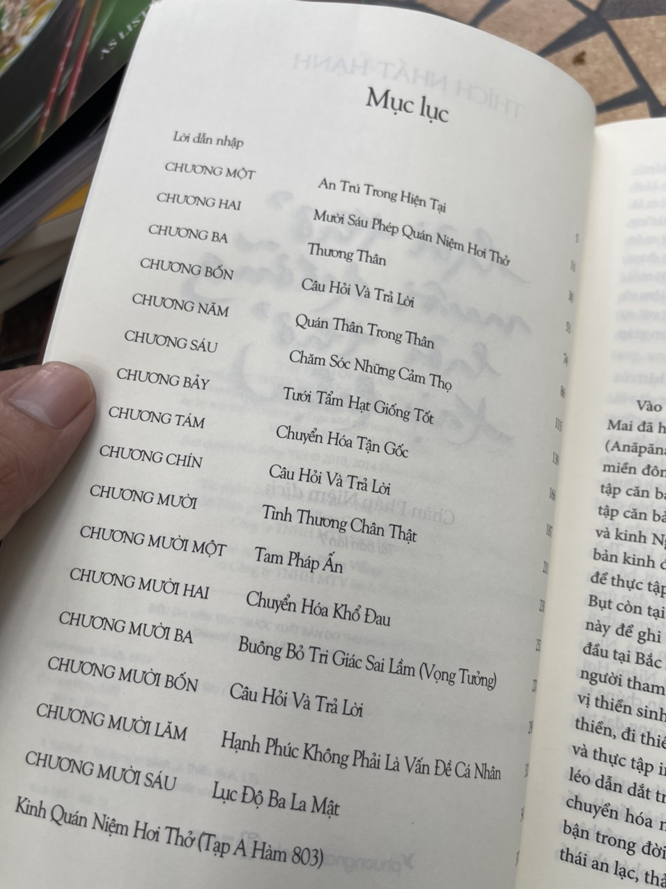 HƠI THỞ NUÔI DƯỠNG, HƠI THỞ TRỊ LIỆU - Thích Nhất Hạnh - Phương Nam Book