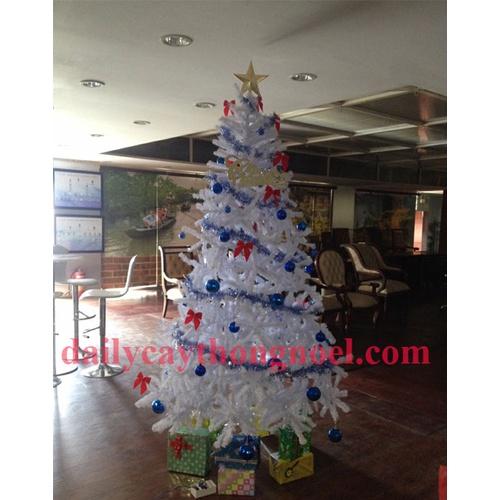 Cây thông noel màu trắng 2m - Cây cao cấp tán dày rộng - Có quà tặng kèm