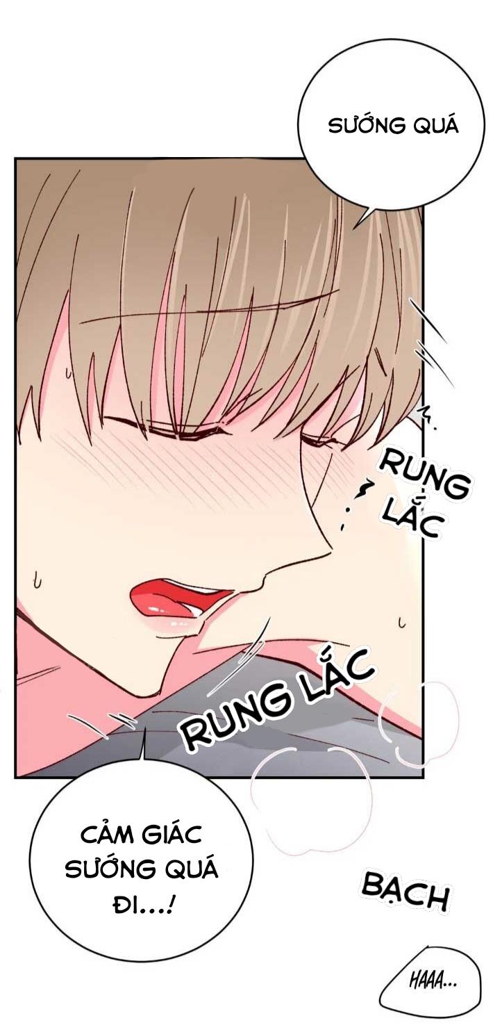 món tráng miệng của sếp tổng chapter 63 8