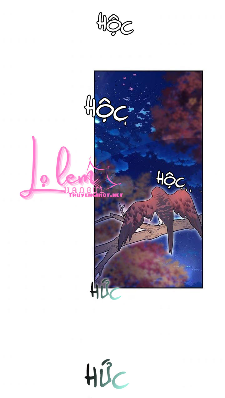 công chúa của loài chim chapter 37.2 6
