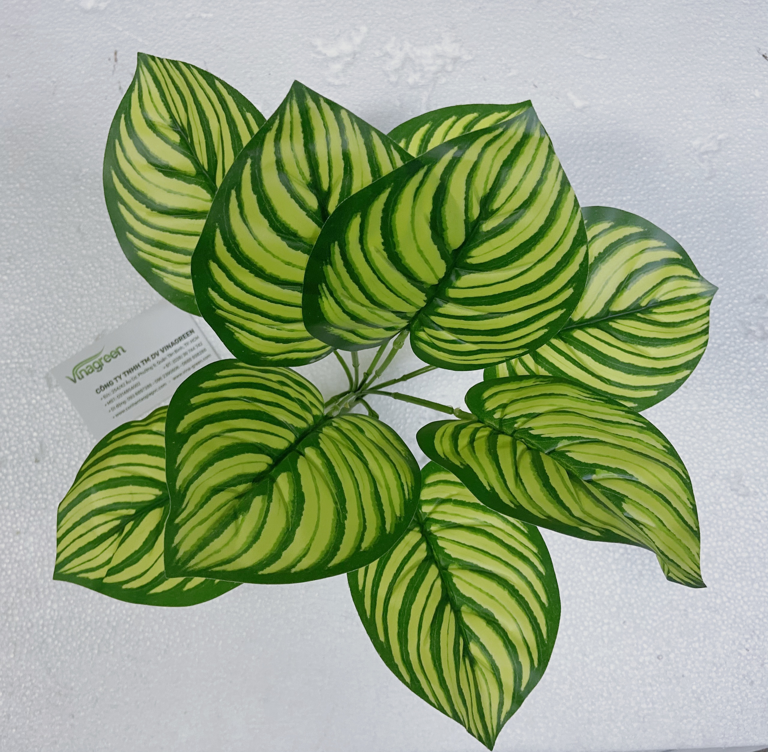Cây đuôi công xanh giả trang trí nhà cửa, cây điểm trang trí, làm tường cây, cao 30cm, 9 nhánh lá - YY-179