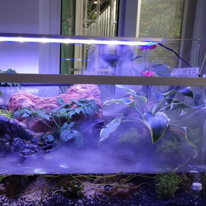 Máy Tạo Khói GEBO 12 đèn led đổi màu tạo khói cho bể cá, tiểu cảnh, hòn non bộ