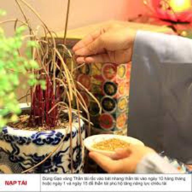 GẠO THẦN TÀI, Chiêu tài nạp lộc