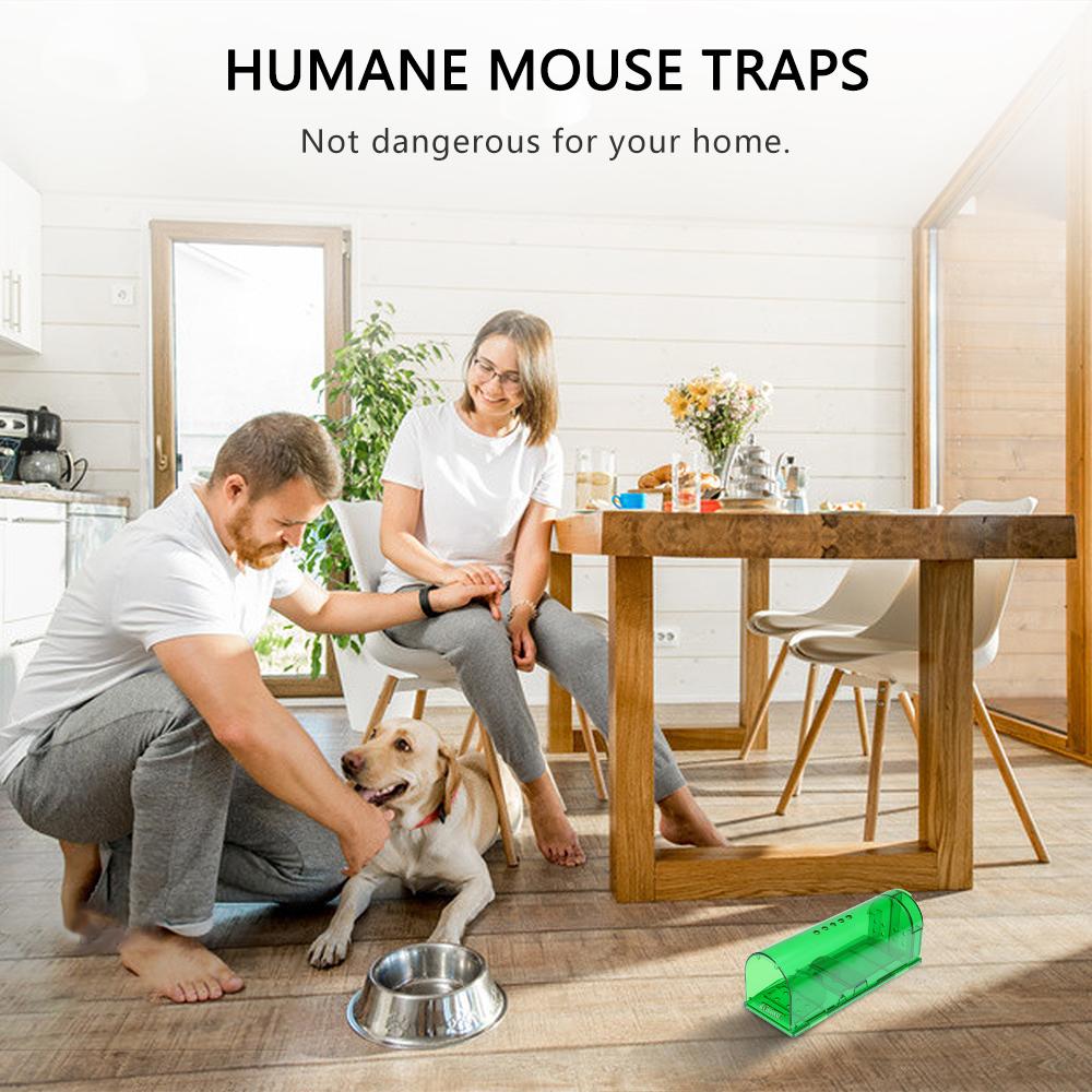 Bẫy chuột nhân đạo Không giết chuột Bắt và thả chuột Có thể tái sử dụng