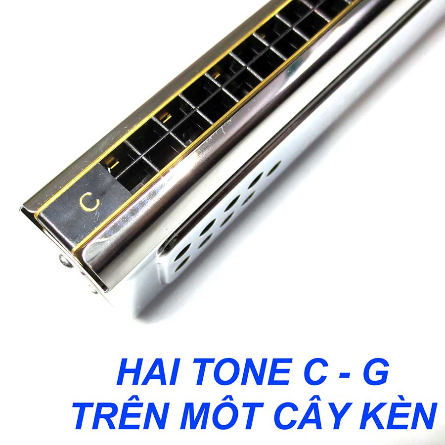 Kèn Harmonica Tremolo Swan Double Side 2 in 1 Hai Tone Kèn Trong Một Cây Key C G