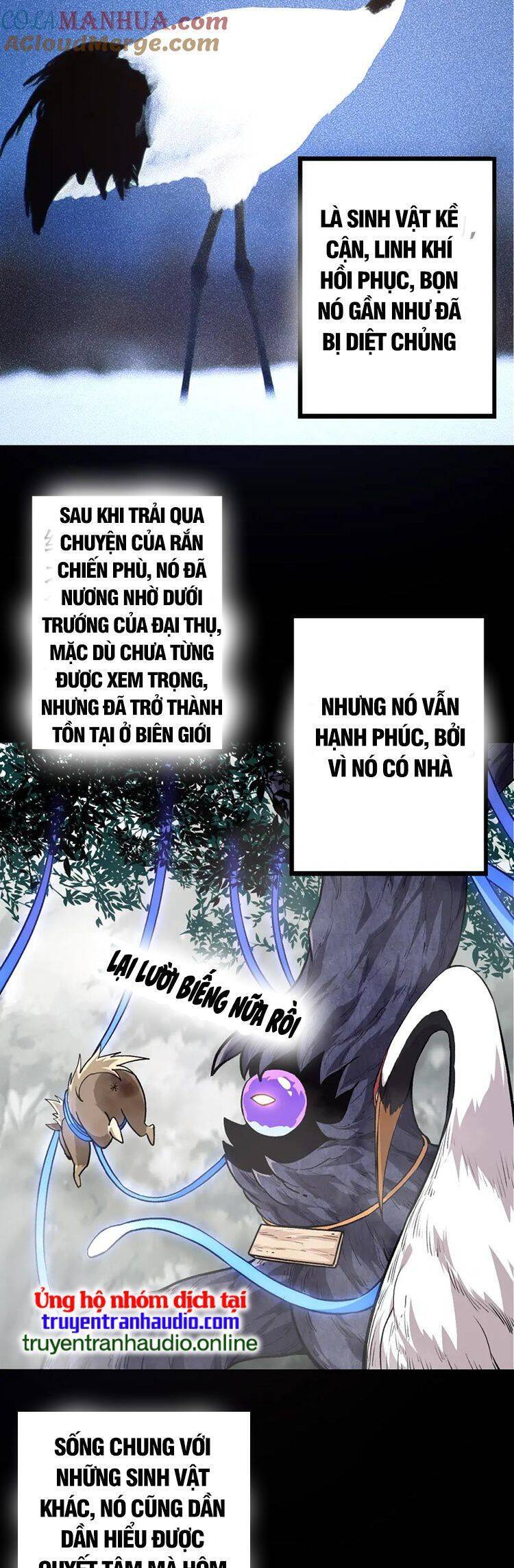 chuyển sinh thành liễu đột biến chapter 54 27